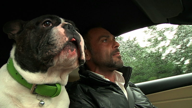 Bulldogge kann Krebs riechen (Foto: SAT.1 NRW)