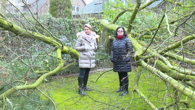 Krieg unter Nachbarn? (Foto: SAT.1 NRW)