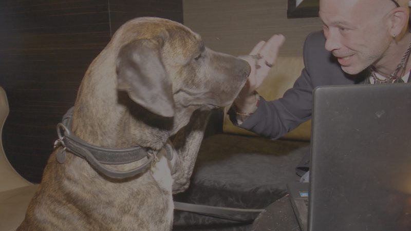 NRWs erster Blogger-Hund (Foto: SAT.1 NRW)