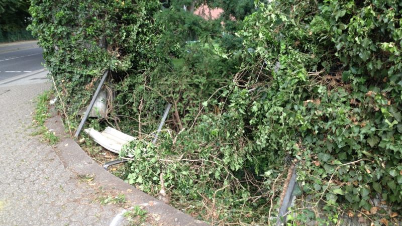 SUV-Fahrer fährt Frau um ... (Foto: SAT.1 NRW)