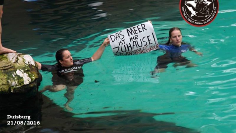 Aktivisten stürmen Delfinarium (Foto: Facebook)