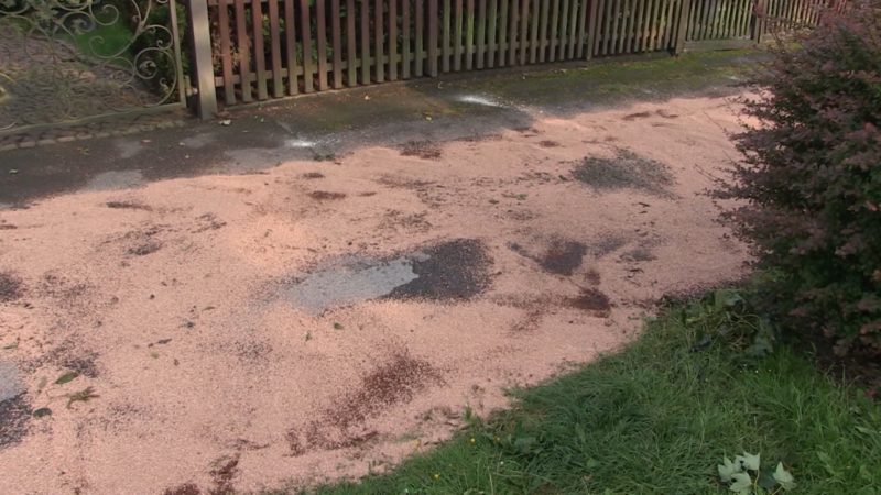 Feuerwehr will keine Ölspuren mehr beseitigen (Foto: SAT.1 NRW)