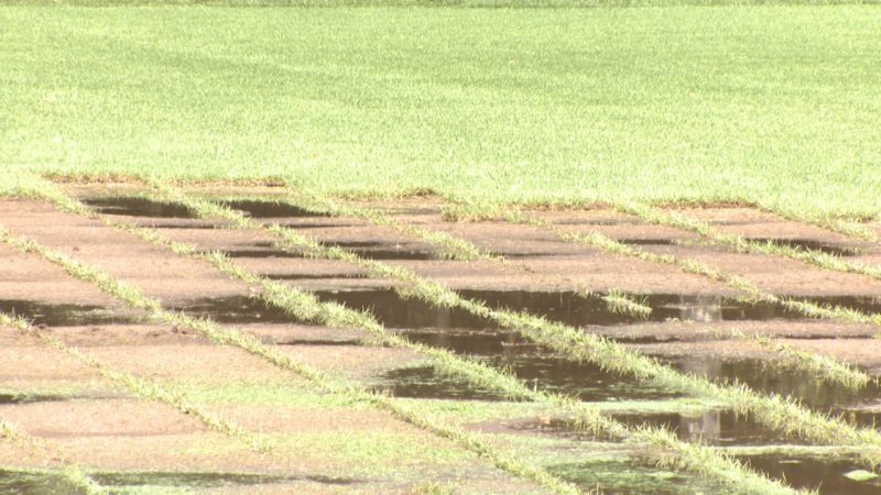 VFL-Rasen beschädigt (Foto: SAT.1 NRW)