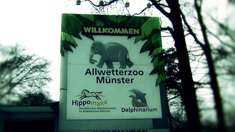 Mega-Spende für Allwetterzoo Münster (Foto: SAT.1 NRW)