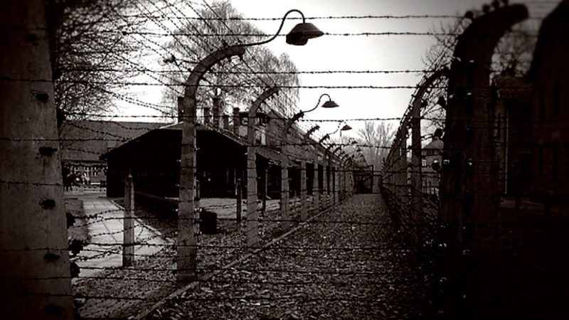 Fotos aus Auschwitz (Foto: SAT.1 NRW)