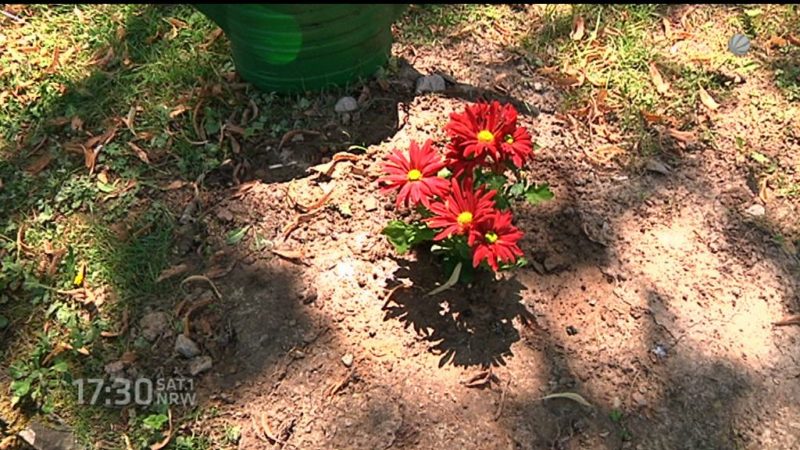 Künstler sammeln für Obdachlosen-Grabstein (Foto: SAT.1 NRW)