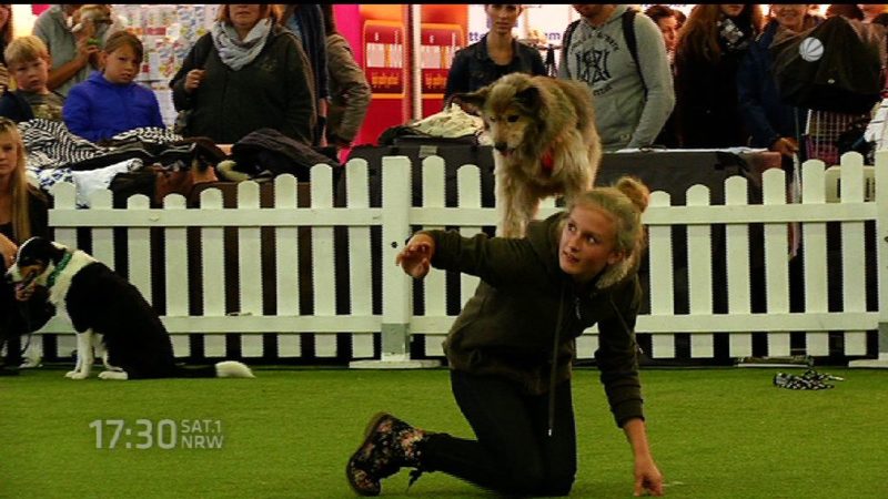 Messe "Hund und Pferd" startet (Foto: SAT.1 NRW)