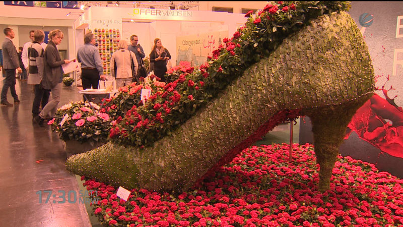 Internationale Pflanzenmesse startet morgen (Foto: SAT.1 NRW)