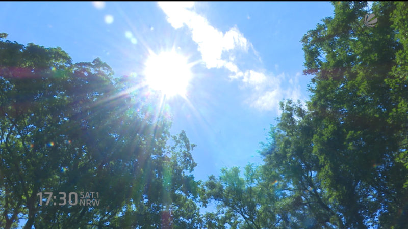 SOMMERBILANZ (Foto: SAT.1 NRW)