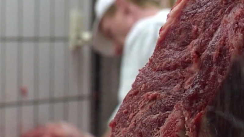 So schlecht sind die Bedingungen in der Fleischbranche (Foto: SAT.1 NRW)