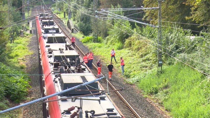 Chaos wegen Federvieh (Foto: SAT.1 NRW)