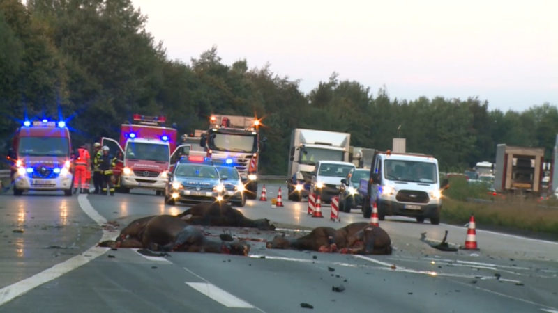 Tödlicher Unfall (Foto: Si-News.Tv)