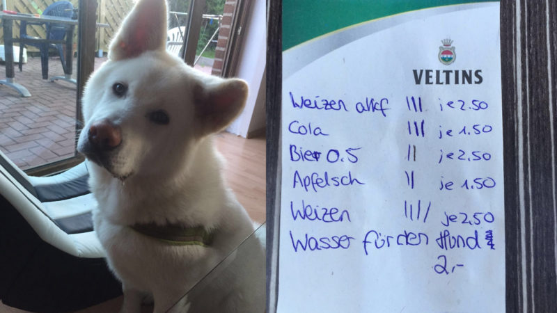 Wasser für Hund kostet 2 Euro (Foto: SAT.1 NRW)