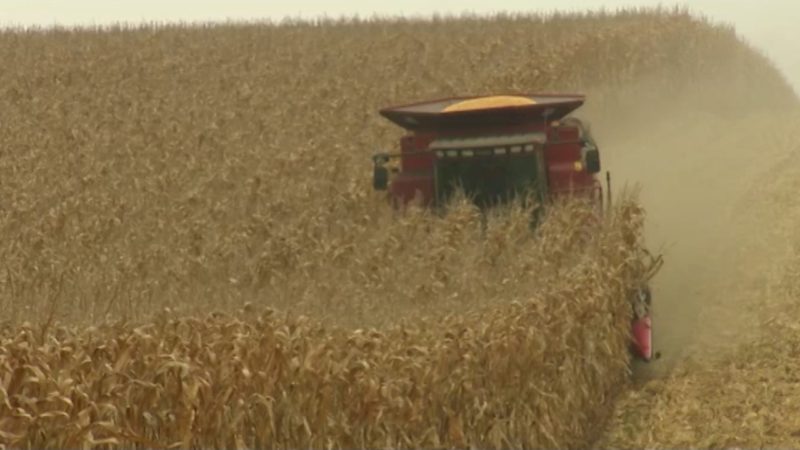 Monsanto (Foto: SAT.1 NRW)