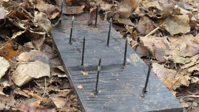 Nagelbretter ausgelegt (Foto: Rhein-Kreis Neuss)
