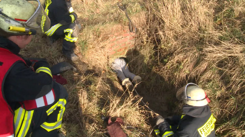 Ungewöhnliche Rettung (Foto: Videonews24)