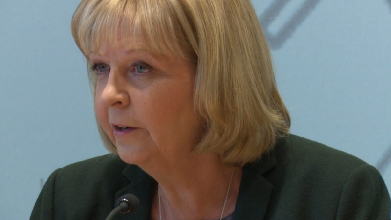 Kraft fordert Begutachtung im Fall Amri (Foto: SAT.1 NRW)
