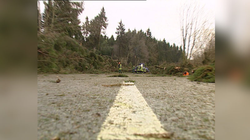 10 Jahre Kyrill - Hier geht's zur damaligen Berichterstattung (Foto: SAT.1 NRW)