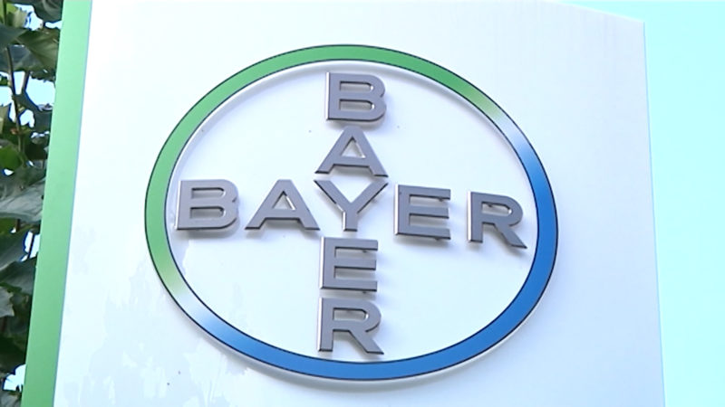 Bayer streicht Jobs (Foto: SAT.1 NRW)