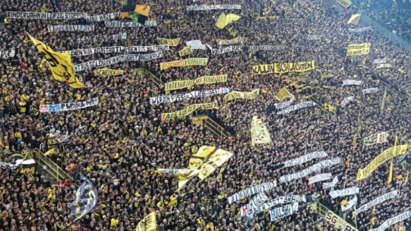 BVB-Fans randalieren bei Heimspiel (Foto: SAT.1 NRW)