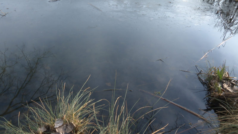 Lebensgefahr: Kind geriet unter Eisfläche (Foto: SAT.1 NRW)