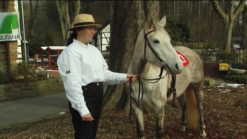 Reitsport-Highlight Equitana (Foto: SAT.1 NRW)