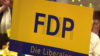 FDP fordert Fusionstechnologie (Foto: SAT.1 NRW)
