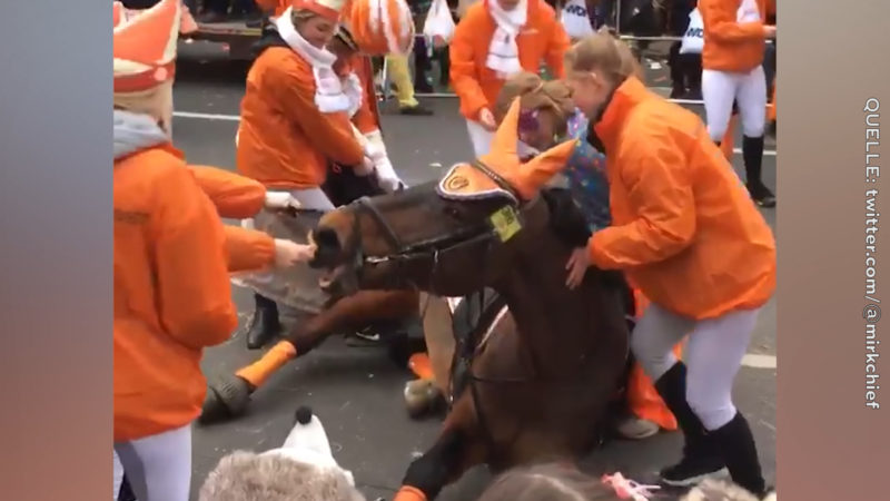 Promis gegen Pferde im Karneval (Foto: twitter.com/@mirkchief)