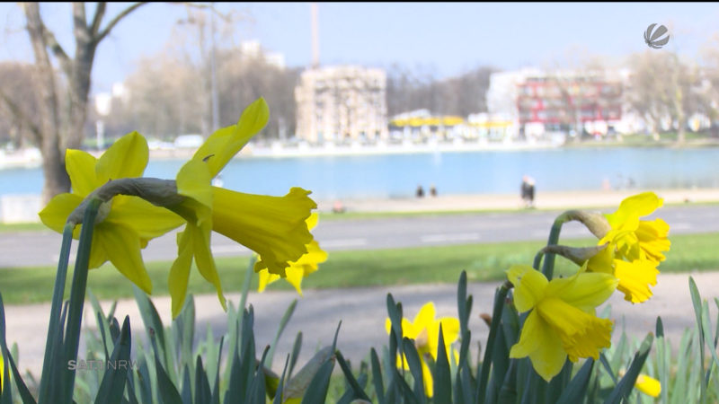 Der Frühling ist da (Foto: SAT.1 NRW)