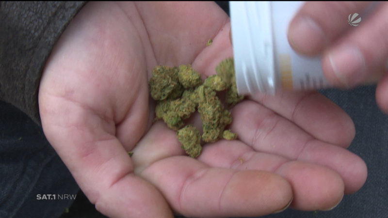Cannabisagentur (Foto: SAT.1 NRW)
