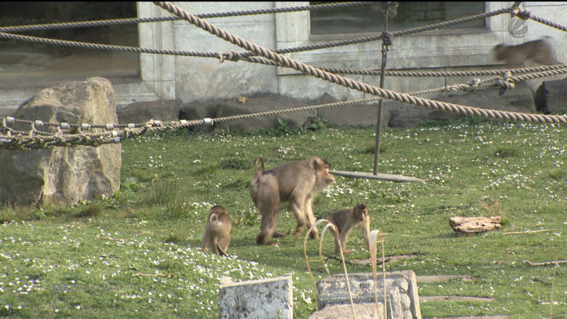 Mega-Hitze im Zoo (Foto: SAT.1 NRW)