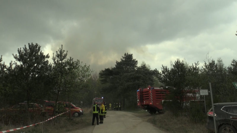 Waldbrand in Troisdorf (Foto: SAT.1 NRW)