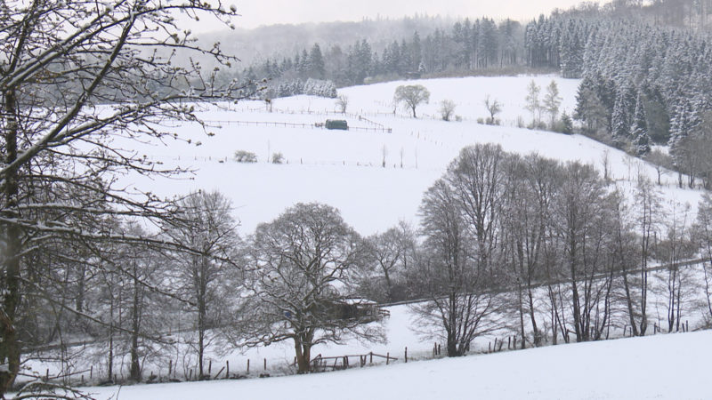 Schnee in NRW (Foto: SAT.1 NRW)