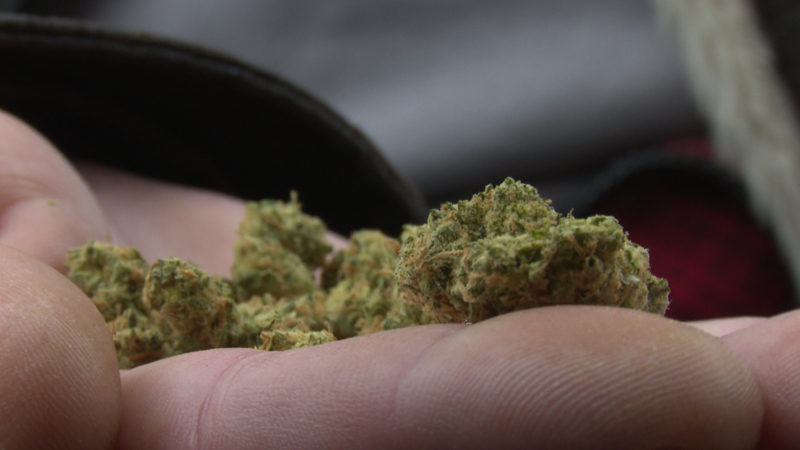 Kritik an Cannabislegalisierung (Foto: SAT.1 NRW)