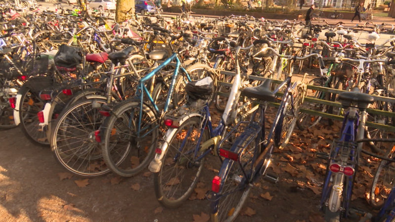 Mädchengruppe stellt Fahrraddieb (Foto: SAT.1 NRW)