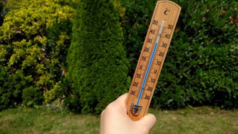 Hitze-Rekord im Mai (Foto: SAT.1 NRW)
