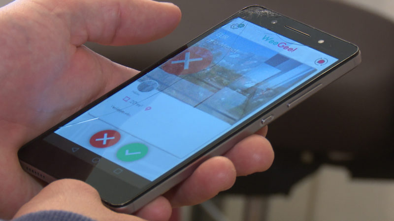 WG-Tinder (Foto: SAT.1 NRW)