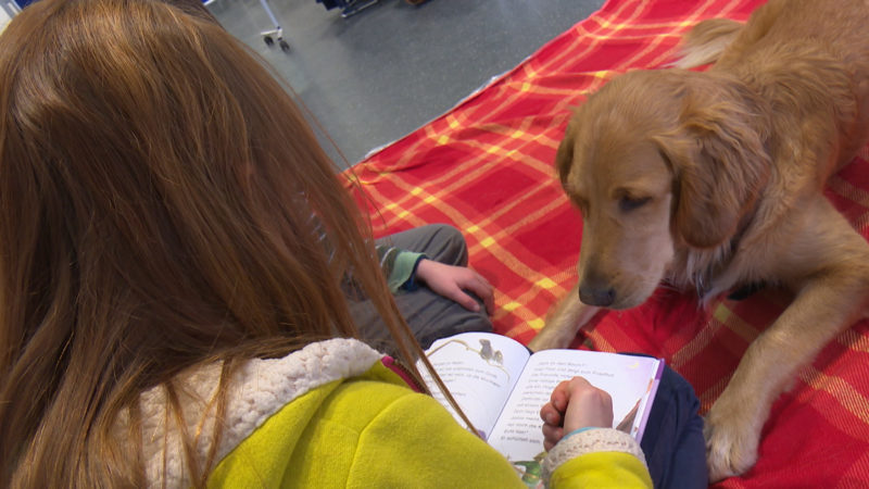 Hund animiert Kinder zum Vorlesen (Foto: SAT.1 NRW)