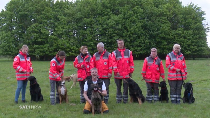 Helden auf vier Pfoten (Foto: SAT.1 NRW)