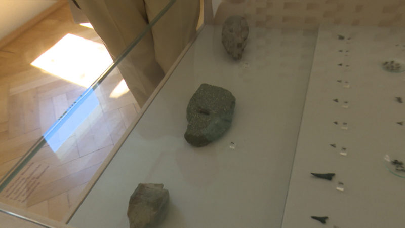 Seltener Saurierzahn entdeckt (Foto: SAT.1 NRW)