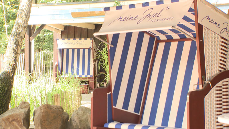 Nordseefeeling im Allwetterzoo Münster (Foto: SAT.1 NRW)
