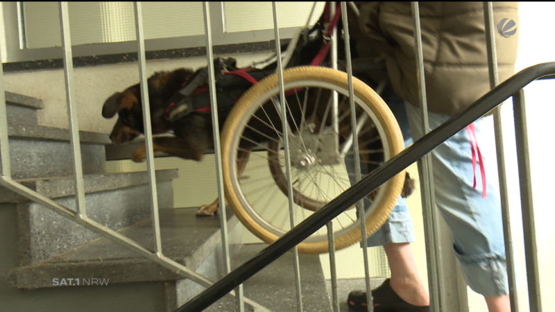 Aufzug in Hochhaus seit Wochen kaputt (Foto: SAT.1 NRW)