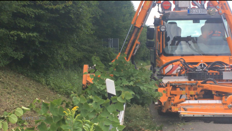 Zugewachsene Straßen (Foto: SAT.1 NRW)