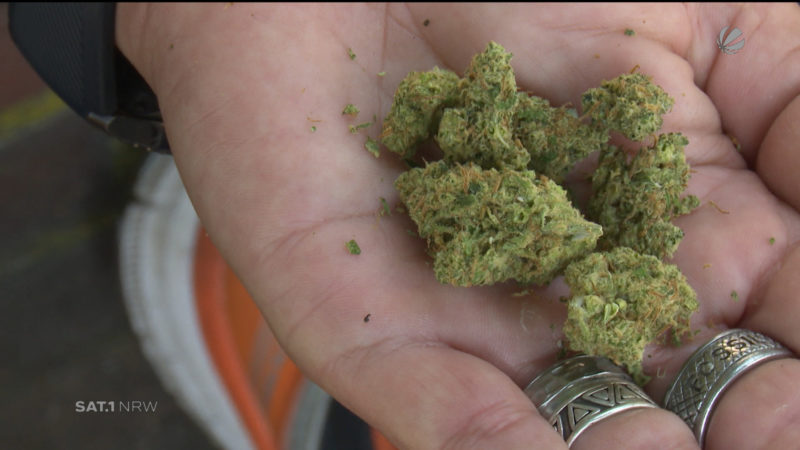 Arzt im Cannabis-Hungerstreik (Foto: SAT.1 NRW)