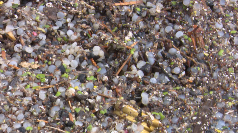 Plastikkugeln im Rhein (Foto: SAT.1 NRW)