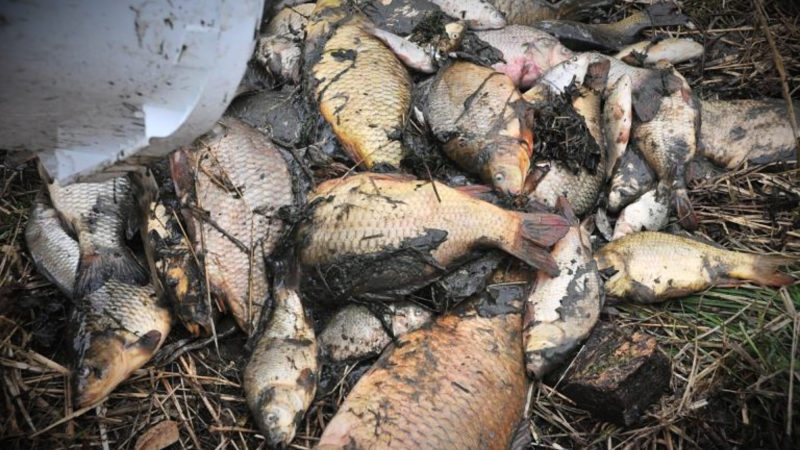 Umwelt-Skandal (Foto: SAT.1 NRW)