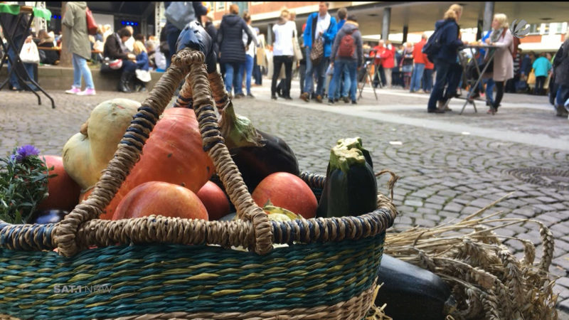 Bielefelder gründen Food-Outlet (Foto: SAT.1 NRW)