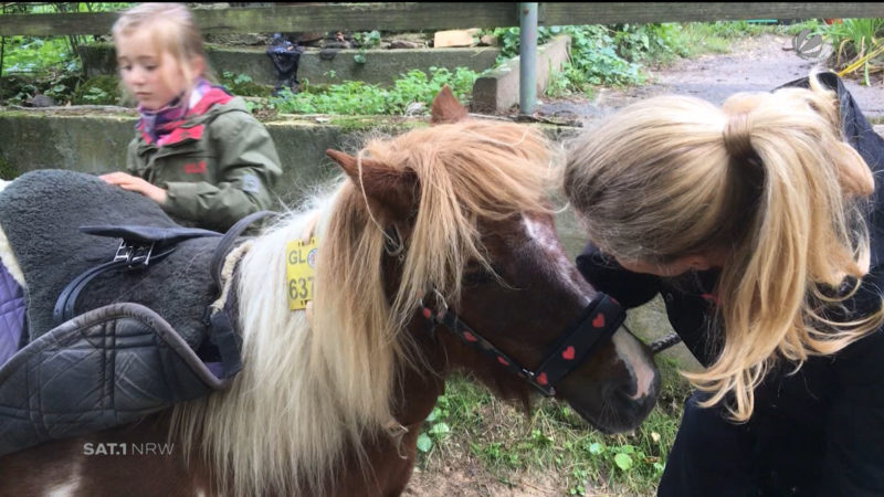 Rettung eines Ponyhofes (Foto: SAT.1 NRW)