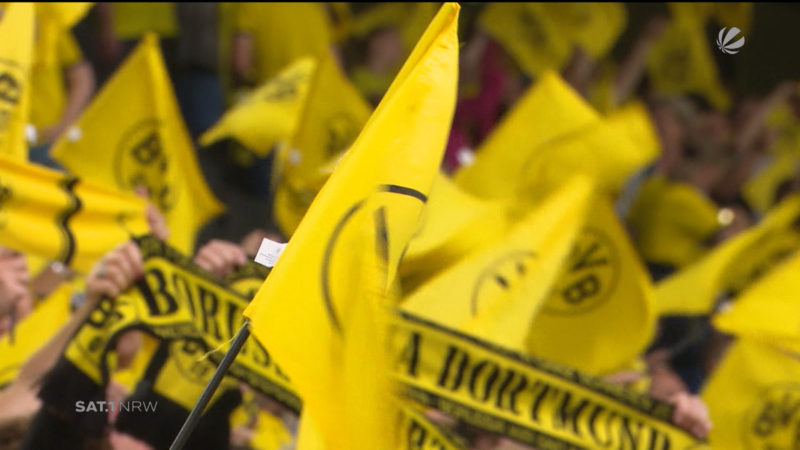 Erling Haaland Oberschenkel tut noch weh (Foto: SAT.1 NRW)