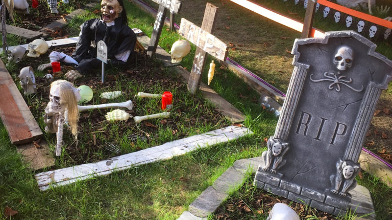 Krasses Halloween-Haus (Foto: SAT.1 NRW)
